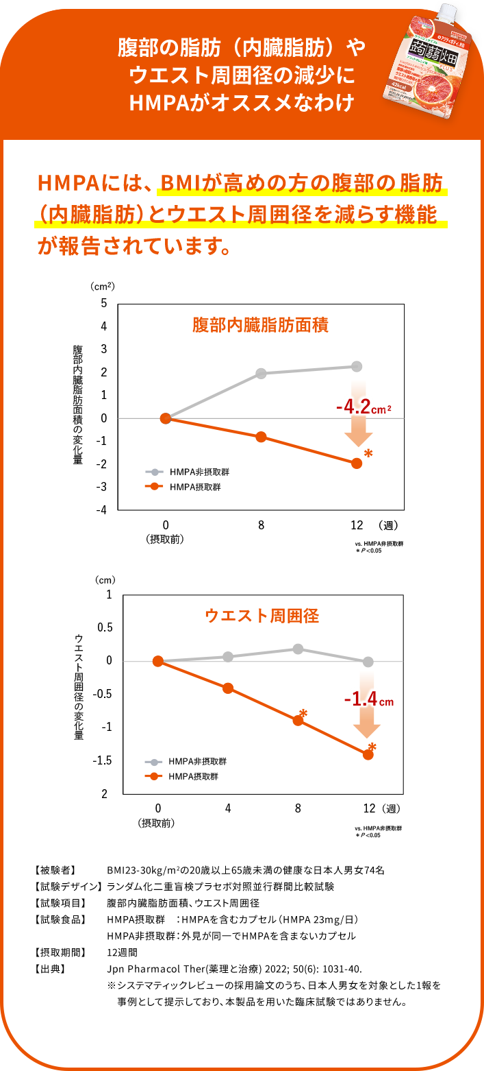 腹部の脂肪（内臓脂肪）やウエスト周囲径の減少にアクティボディ®RBがオススメなわけ