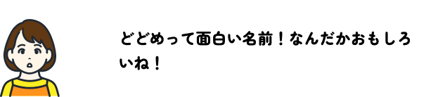 どどめって面白い名前