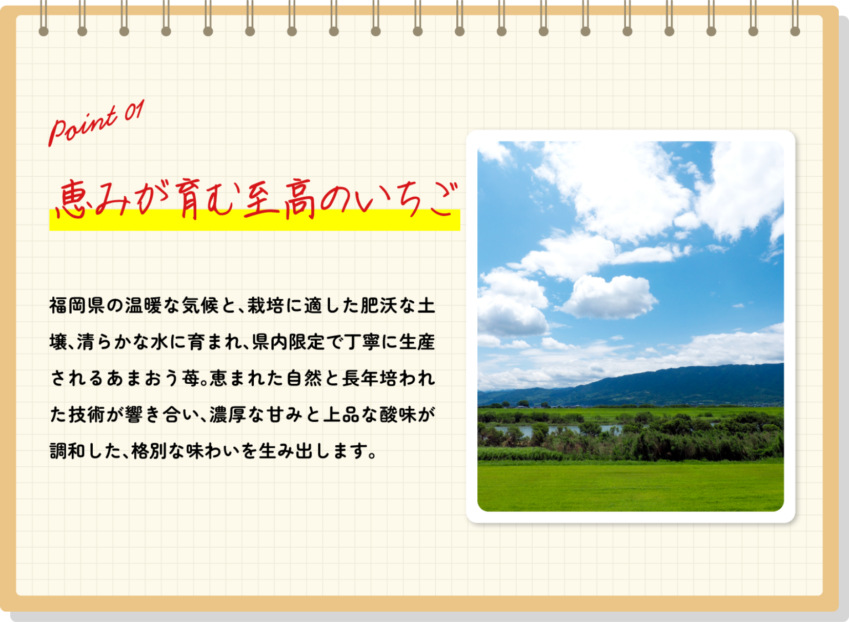 point01 恵みが育む至高のいちご