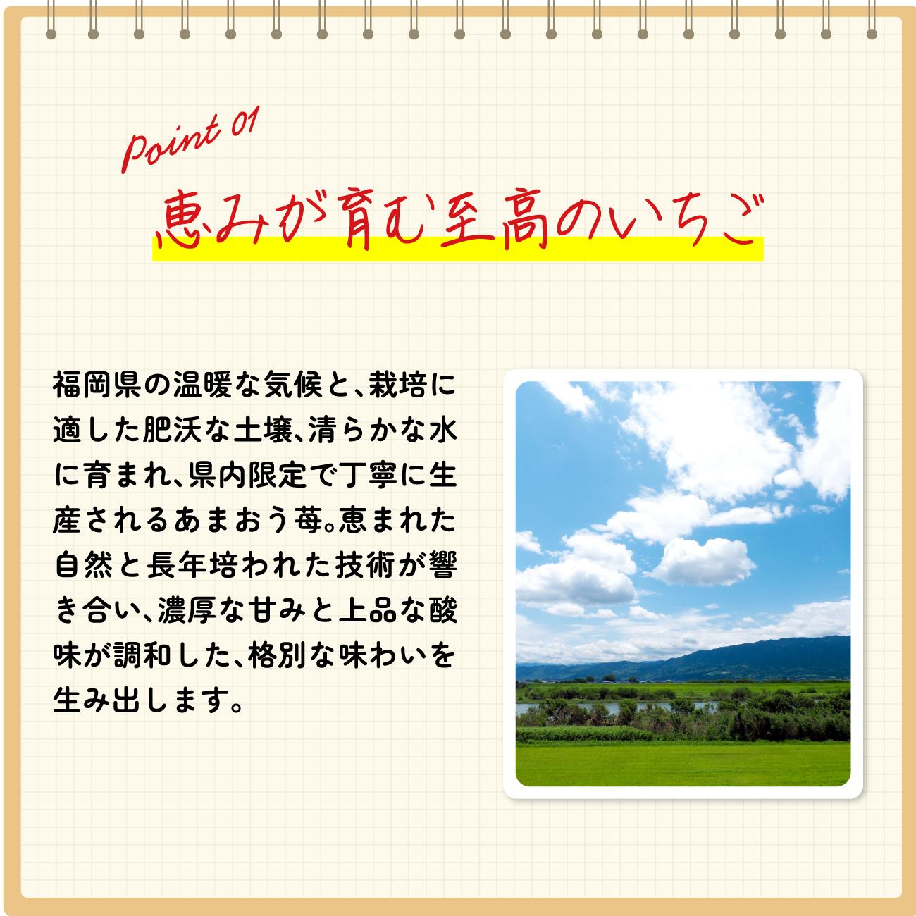 point01 恵みが育む至高のいちご