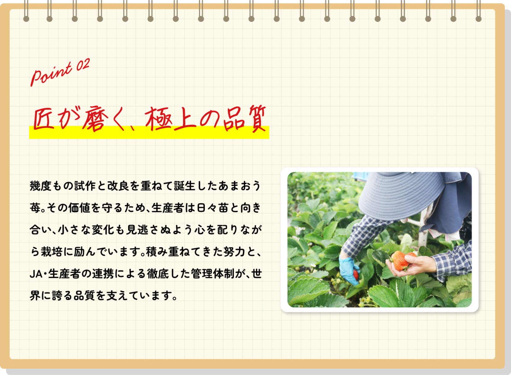 point02 匠が磨く、極上の品質