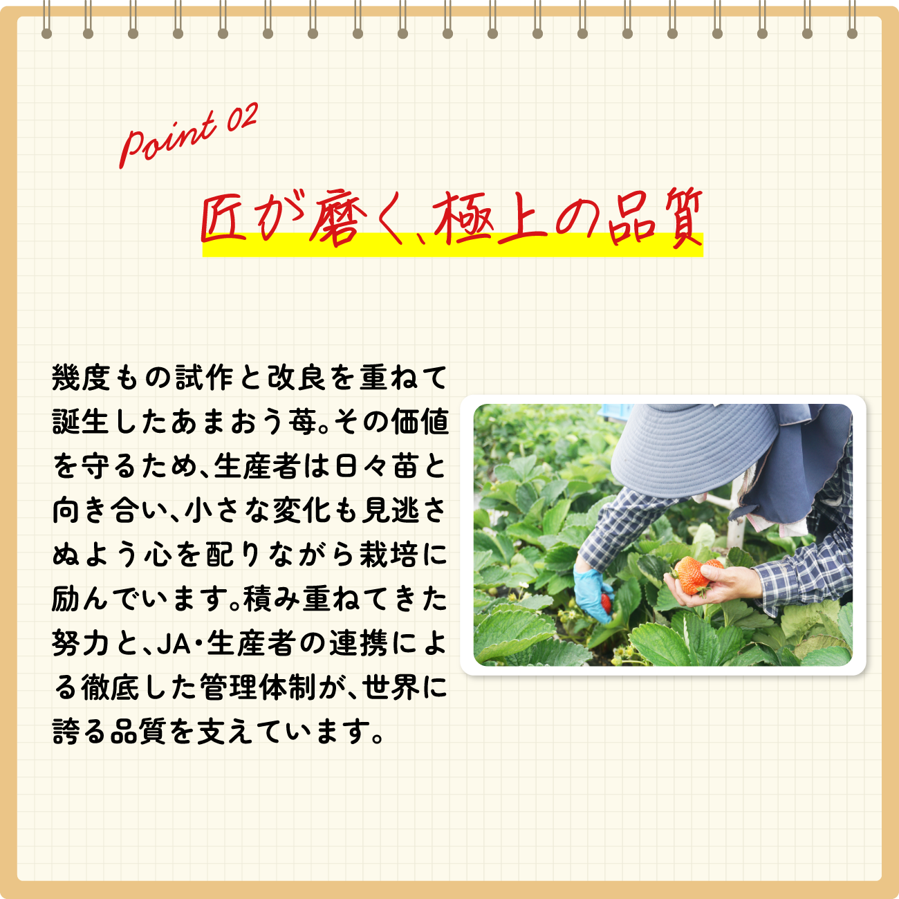point02 匠が磨く、極上の品質