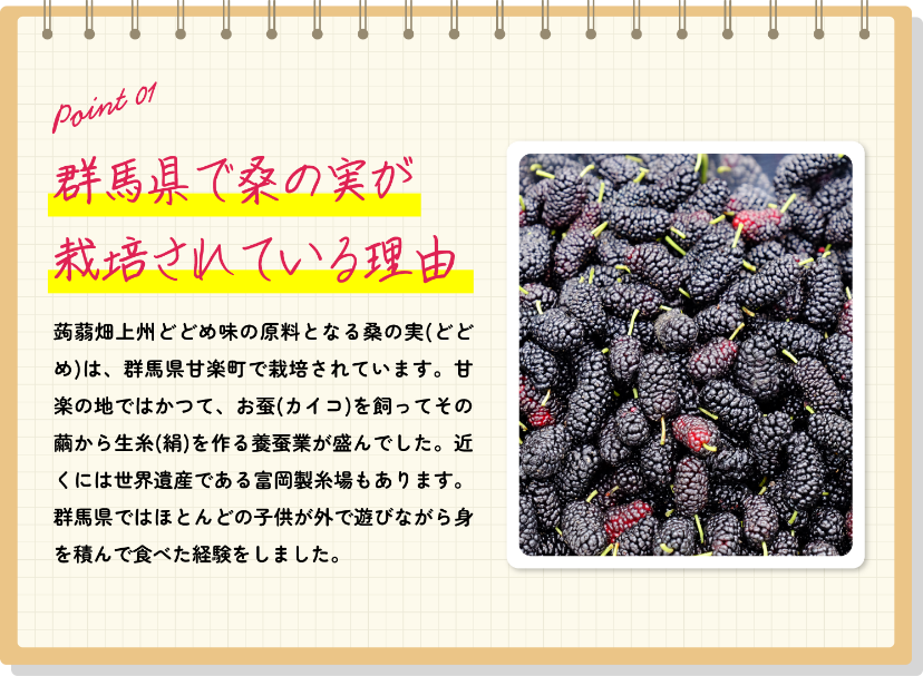 群馬県で桑の実が栽培されている理由