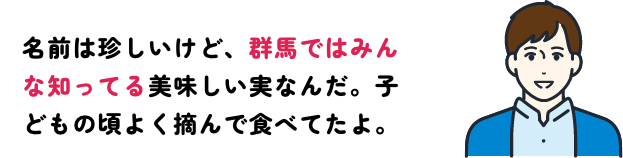 群馬県ではみんな知ってる実