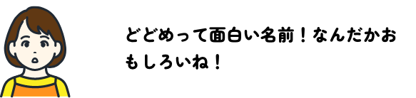 どどめって面白い名前