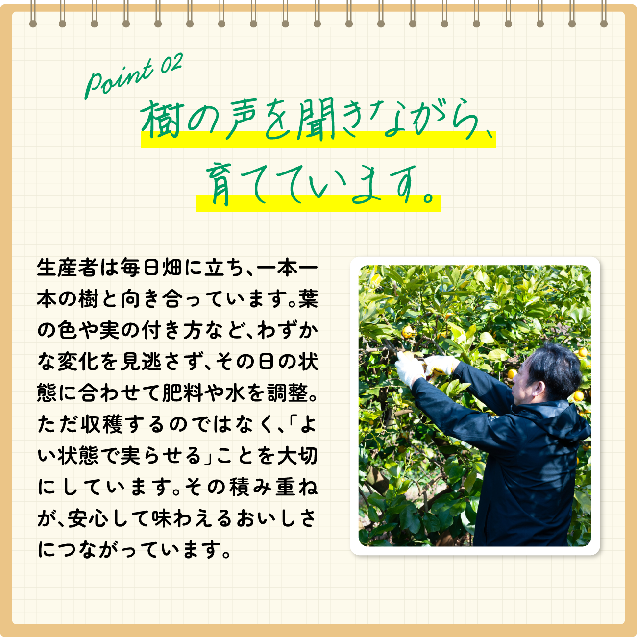 樹の声を聞きながら、育てています。