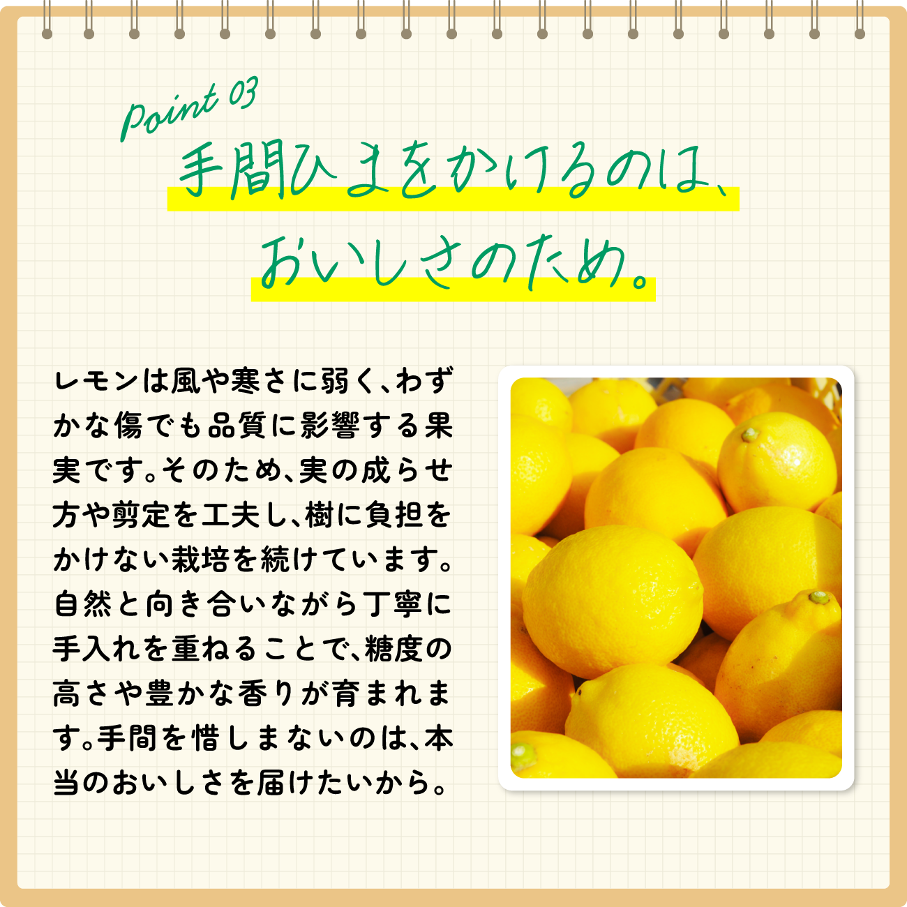手間ひまをかけるのは、おいしさのため。