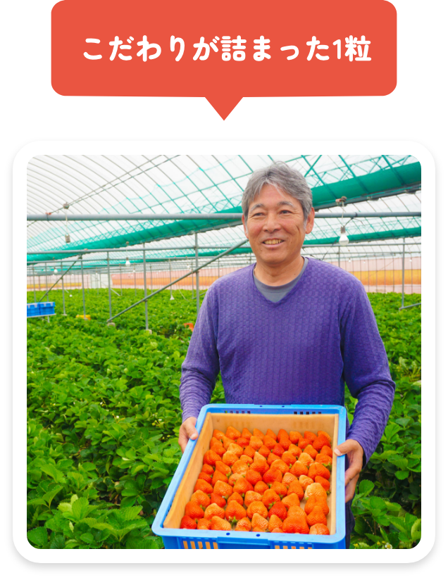 こだわりが詰まった1粒